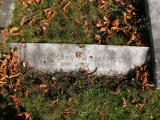 image of grave number 171945